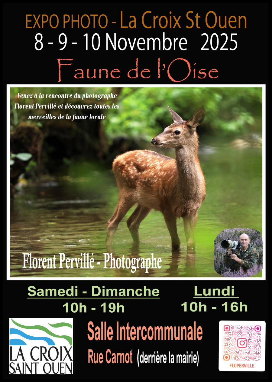 Exposition "Faune de l'Oise" de Florent Pervillé 