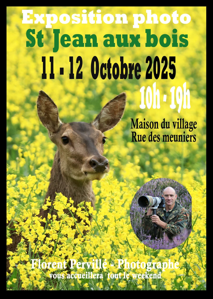 Exposition de Florent Pervillé