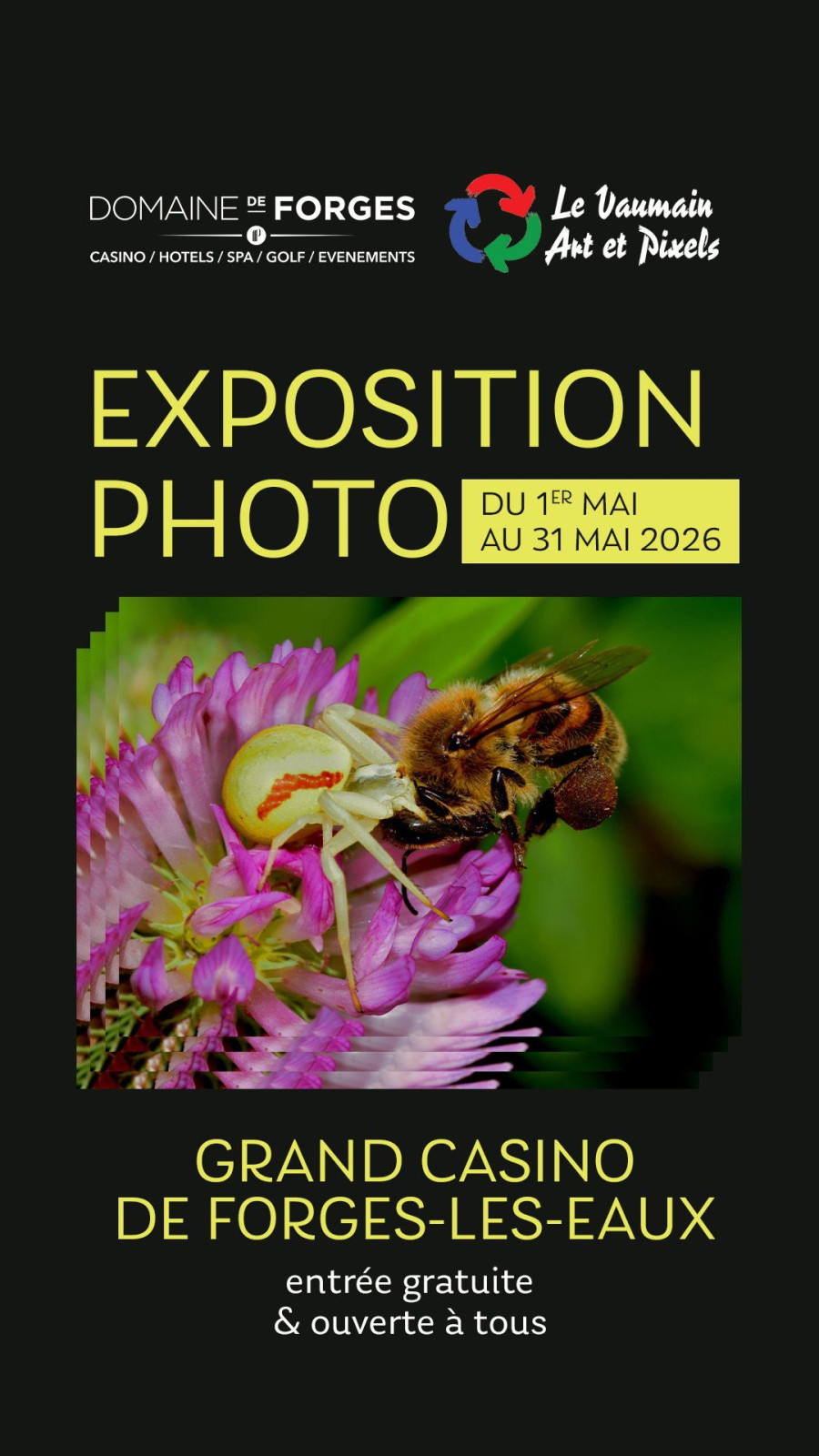 Exposition Le Vaumain Art & Pixels au Casino de Forges-Les-Eaux